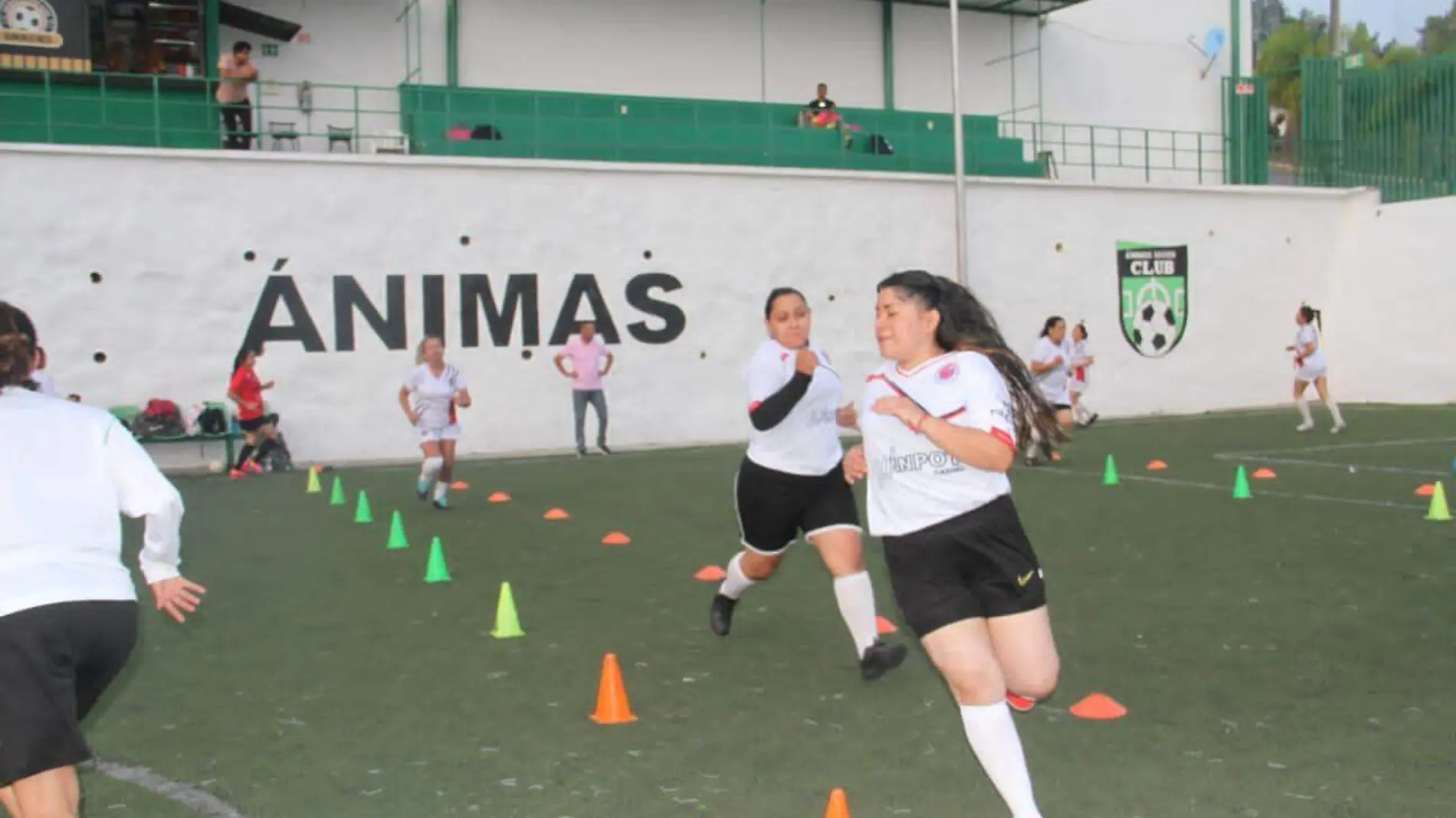 Arrancan registros de importante torneo